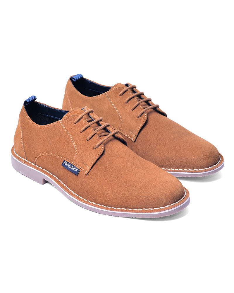 Suede Desert Shoe