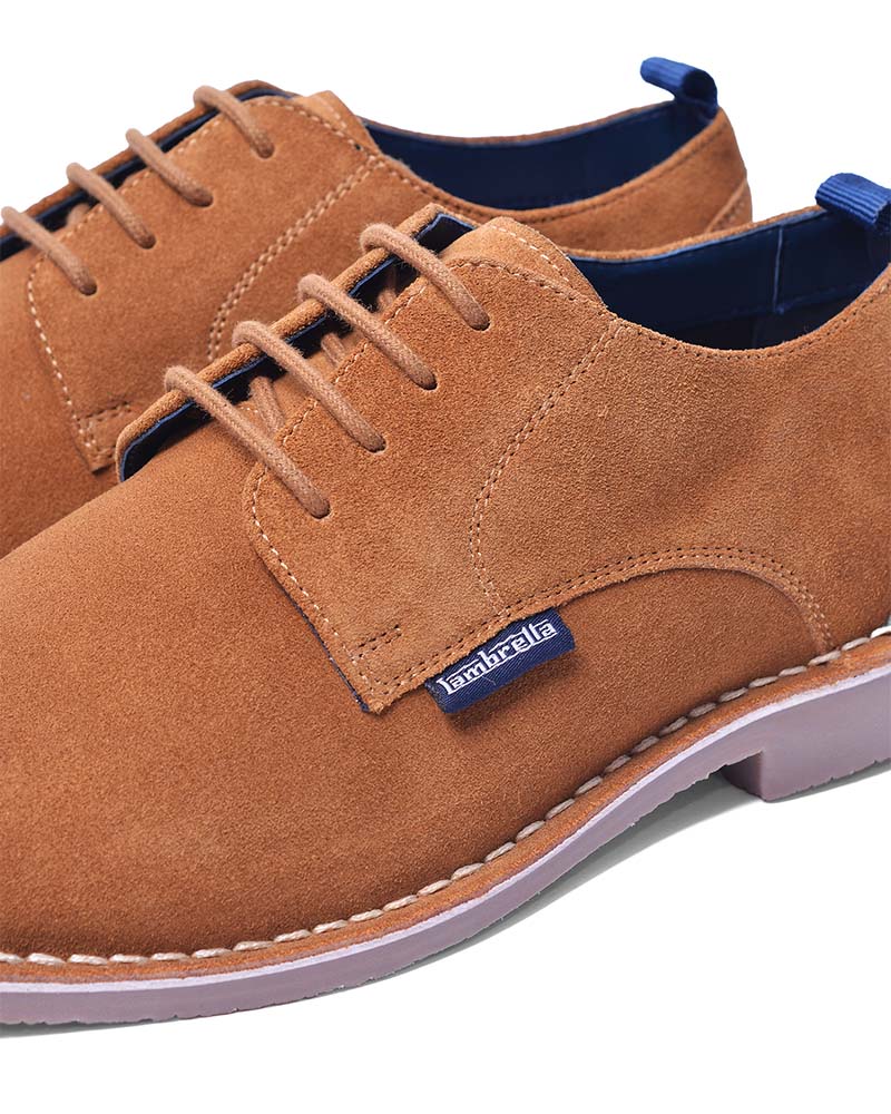Suede Desert Shoe
