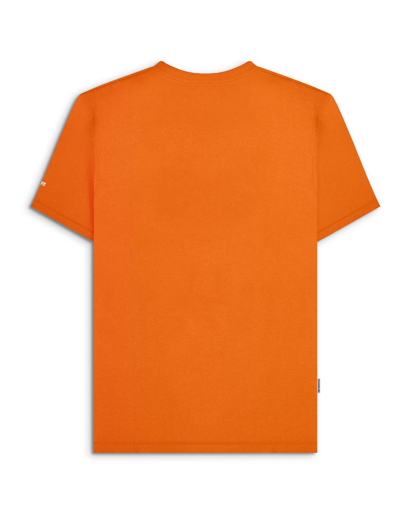 Big & Tall Fade Racing Stripe Tee