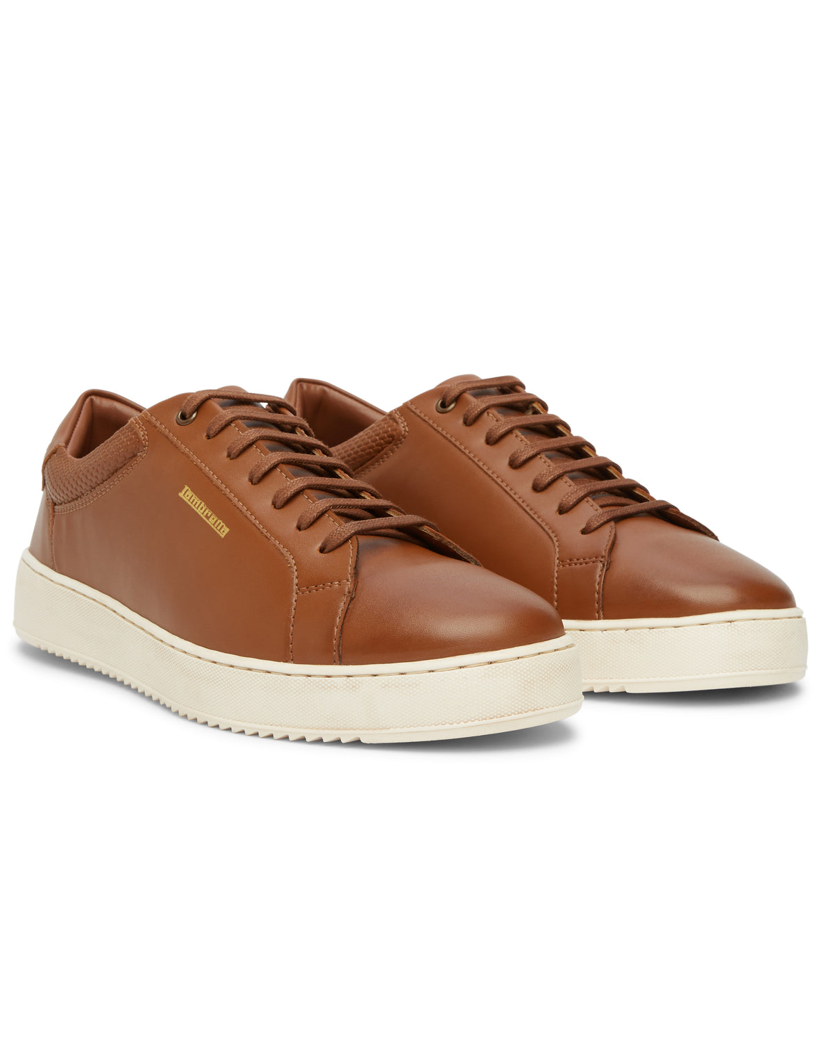 Robbie Trainer